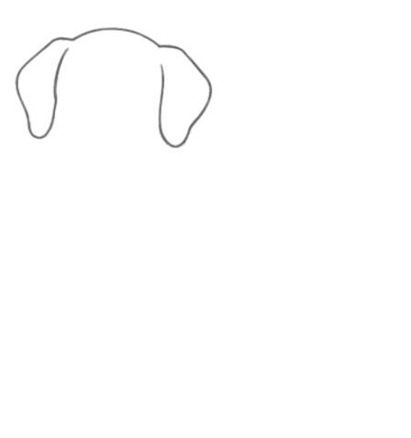 How to Draw a Dog for Adult Step 01