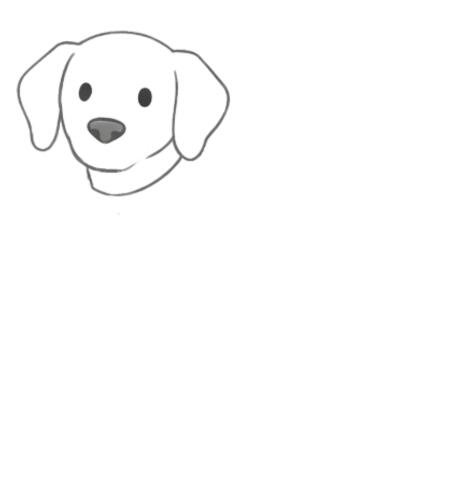How to Draw a Dog for Adult Step 02