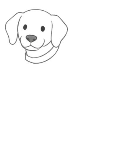 How to Draw a Dog for Adult Step 03