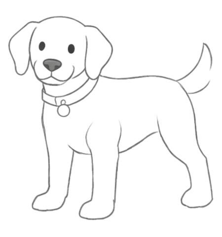 How to Draw a Dog for Adult Step 05