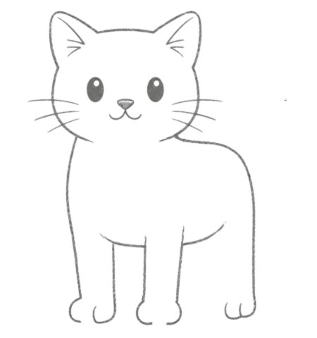 How to Draw Cat for Adult Step 04