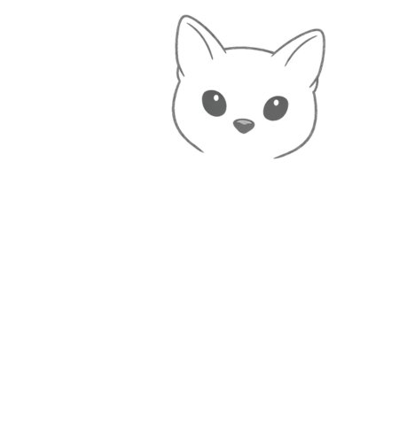How to Draw Cat for Teens Step 02