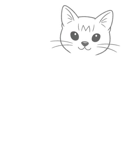 How to Draw Cat for Teens Step 03