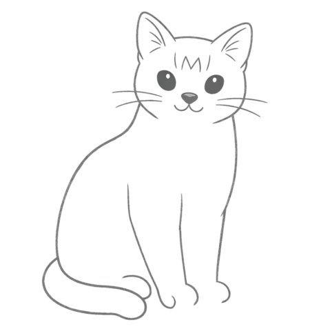 How to Draw Cat for Teens Step 05