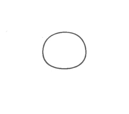 How to Draw a Butterfly for Teens Step 01