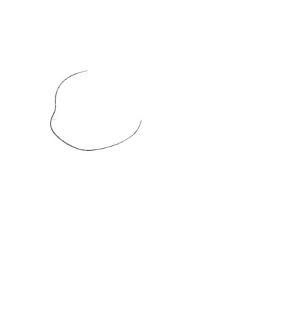 How to Draw a Dragon for Adult Step 01