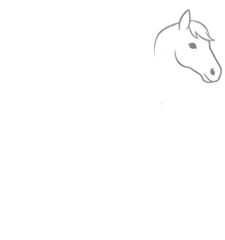 How to Draw a Horse for Adults Step 02