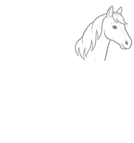 How to Draw a Horse for Adults Step 03