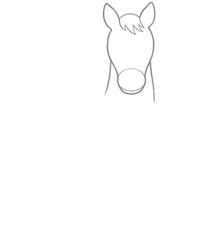 How to Draw a Horse for Teens Step 02