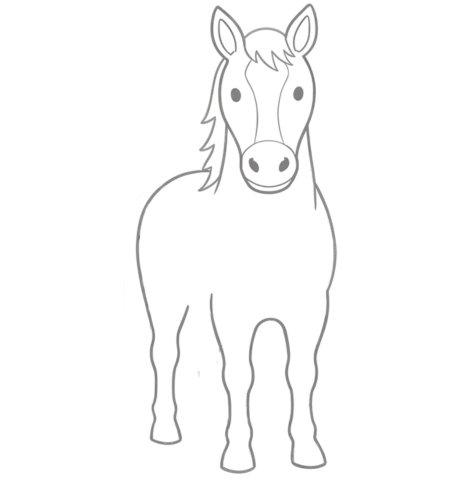 How to Draw a Horse for Teens Step 04