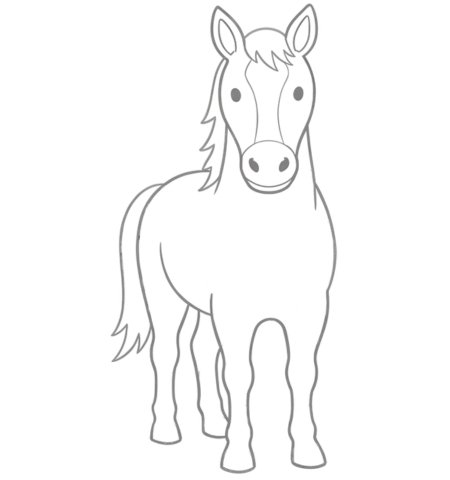 How to Draw a Horse for Teens Step 05