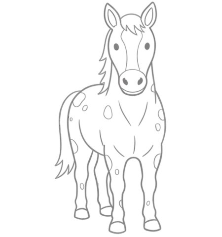 How to Draw a Horse for Teens Step 06
