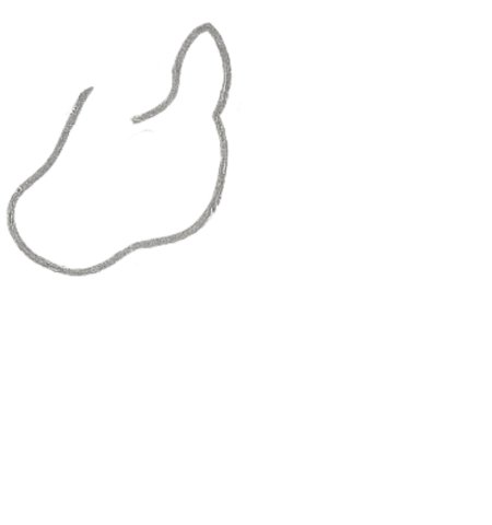 How to Draw a Horse for Tweens Step 01