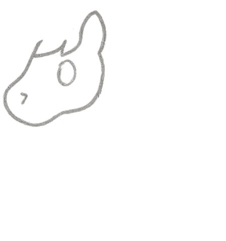 How to Draw a Horse for Tweens Step 02