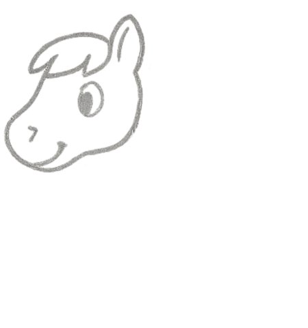 How to Draw a Horse for Tweens Step 03