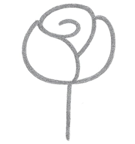 How to Draw a Rose for Kids Step 04