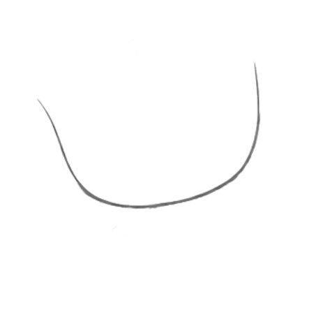 How to Draw a Rose for Teens Step 01