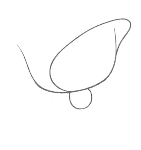 How to Draw a Rose for Teens Step 02