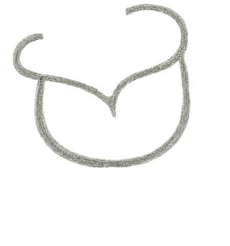 How to Draw a Rose for Tweens Step 02