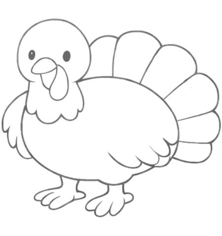 How to Draw a Turkey for Adults Step 05