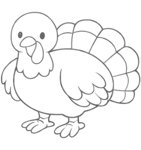 How to Draw a Turkey for Adults Step 06