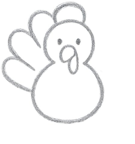 How to Draw a Turkey for Kids Step 04