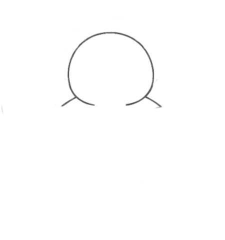How to Draw a Turkey for Teens Step 01