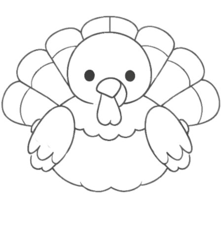 How to Draw a Turkey for Teens Step 05