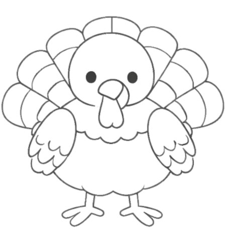 How to Draw a Turkey for Teens Step 06