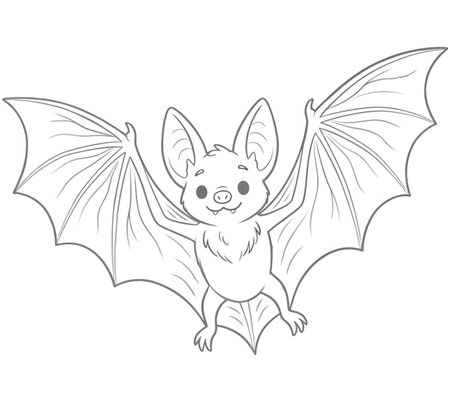How to Draw a Bat for Adults Step 06
