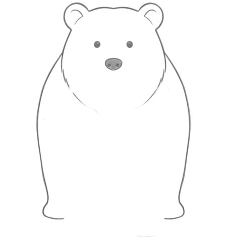 How to Draw a Bear for Teens Step 02