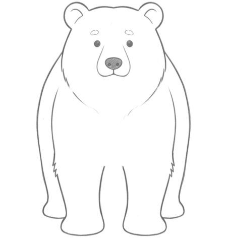 How to Draw a Bear for Teens Step 03