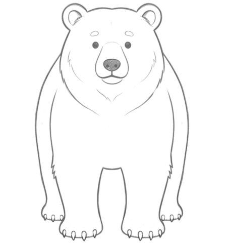 How to Draw a Bear for Teens Step 04