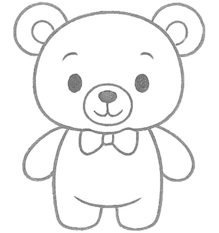 How to Draw a Bear for Tweens Step 05