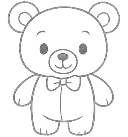 How to Draw a Bear for Tweens Step 06