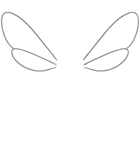 How to Draw a Bee for Adults Step 02