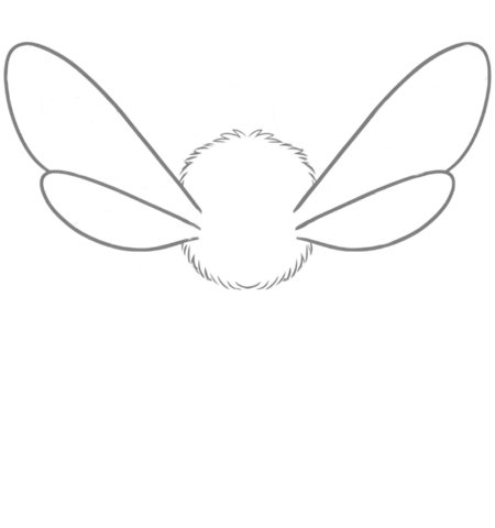 How to Draw a Bee for Adults Step 03