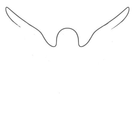 How to Draw a Bird for Adults Step 01