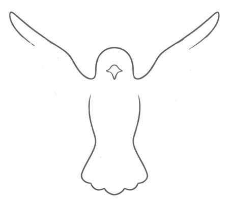 How to Draw a Bird for Adults Step 02