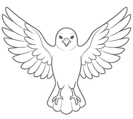 How to Draw a Bird for Adults Step 06