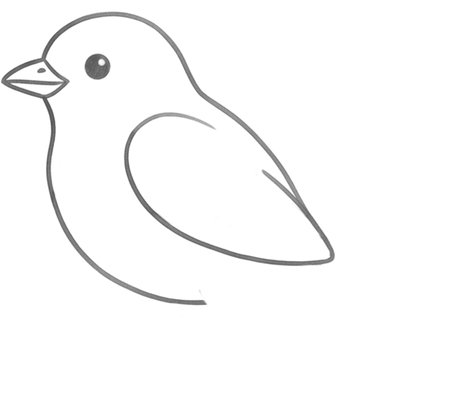 How to Draw a Bird for Teens Step 03