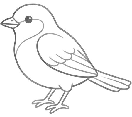 How to Draw a Bird for Teens Step 06
