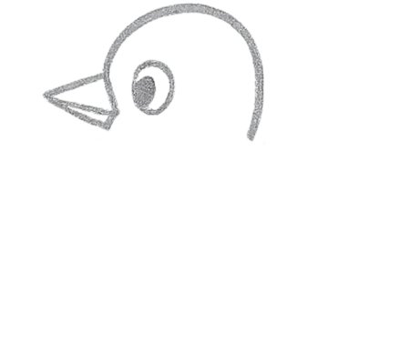 How to Draw a Bird for Tweens Step 03