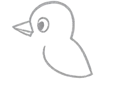 How to Draw a Bird for Tweens Step 04