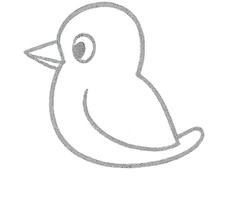 How to Draw a Bird for Tweens Step 05