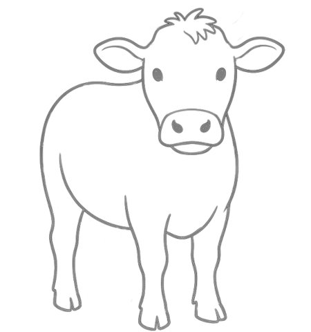 How to Draw a Cow for Teens Step 03