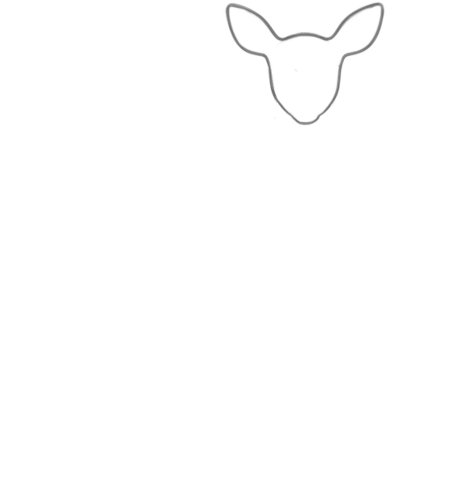 How to Draw a Deer for Adults Step 01