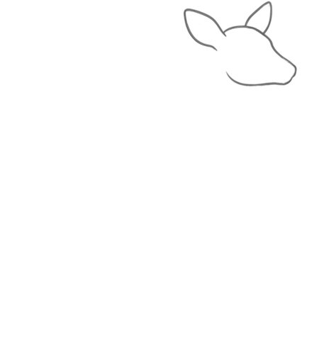 How to Draw a Deer for Teens Step 01