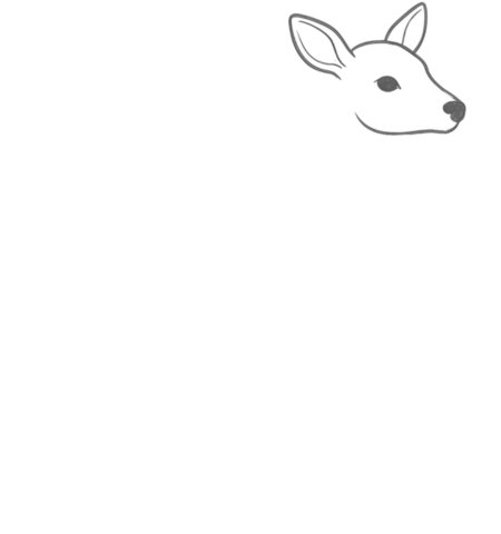 How to Draw a Deer for Teens Step 02