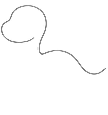 How to Draw a Dinosaur for Teens Step 01